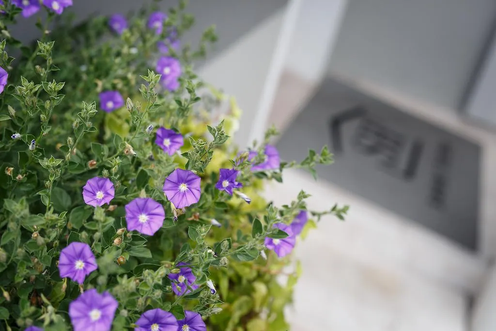Bed & Breakfast Sweet Home Treviso