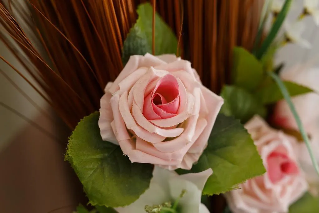 Sweet Home Treviso Bed & Breakfast