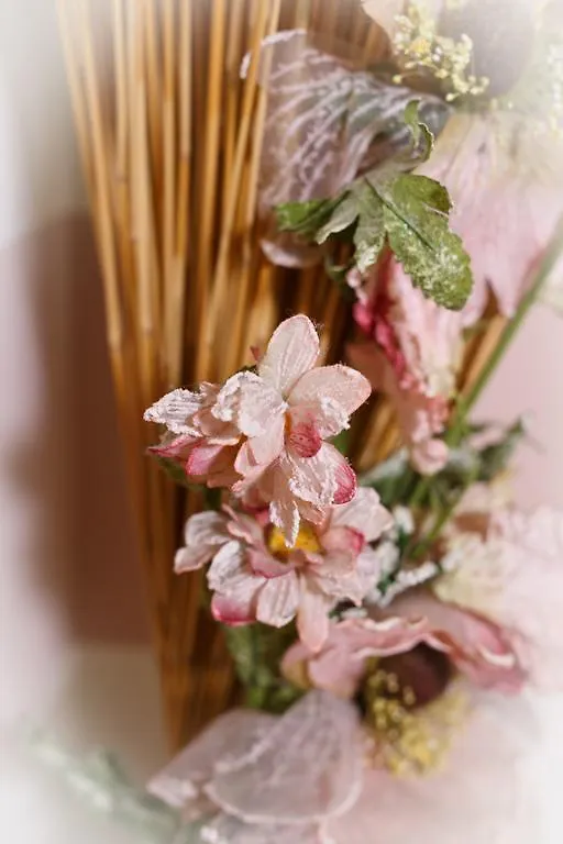 Bed & Breakfast Sweet Home Treviso